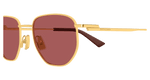 GOLD / BROWN