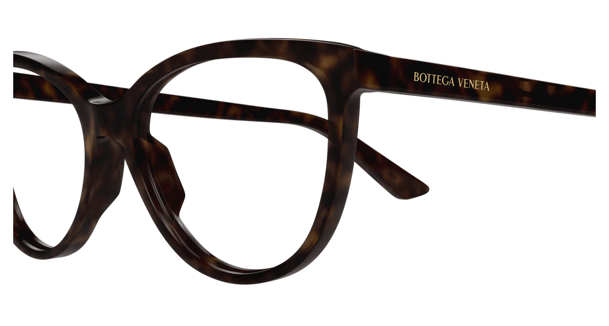 HAVANA / TRANSPARENT