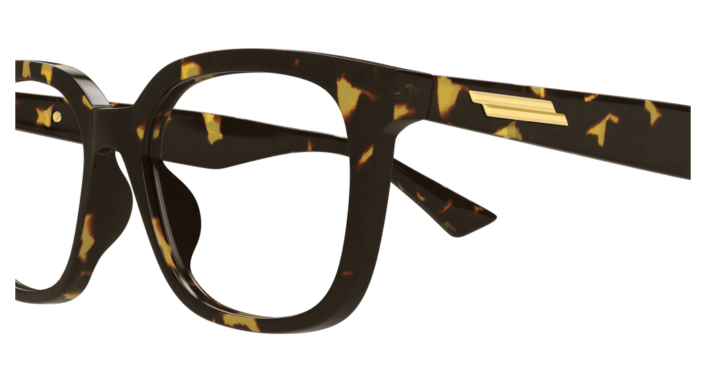 HAVANA / TRANSPARENT