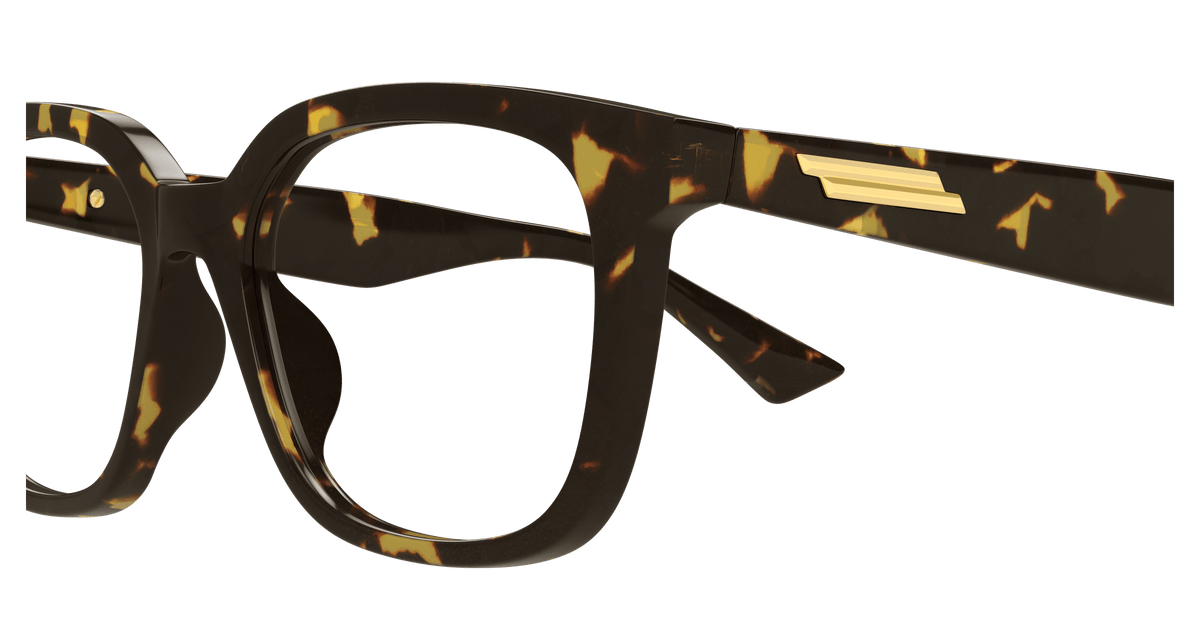 HAVANA / TRANSPARENT