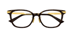 HAVANA / GOLD / TRANSPARENT