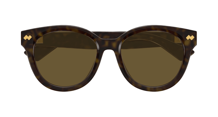HAVANA / BROWN