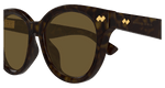 HAVANA / BROWN