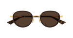 HAVANA / GOLD / BROWN