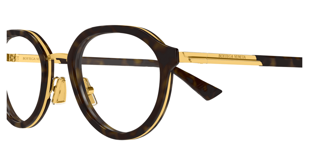 HAVANA / GOLD / TRANSPARENT