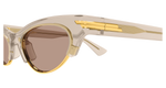 BROWN / BROWN