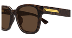 HAVANA / BROWN