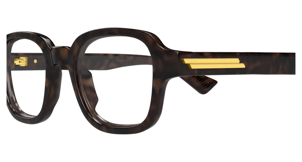 HAVANA / TRANSPARENT