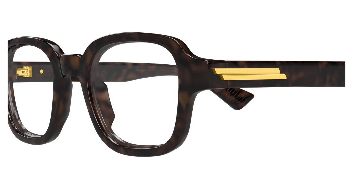 HAVANA / TRANSPARENT