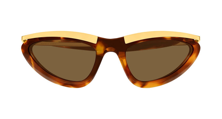 HAVANA / GOLD / BROWN
