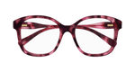 HAVANA / TRANSPARENT