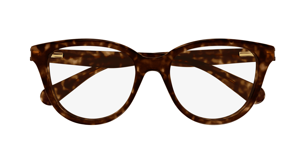 HAVANA / TRANSPARENT