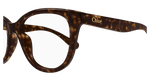 HAVANA / TRANSPARENT