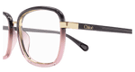 GREY / TRANSPARENT