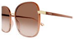 BROWN / BROWN