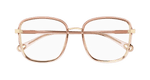 ORANGE / TRANSPARENT
