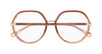 BROWN / TRANSPARENT