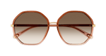 BROWN / BROWN