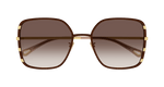BROWN / GOLD / BROWN
