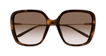 HAVANA / GOLD / BROWN