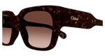HAVANA / COPPER