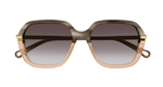 GREY / BROWN