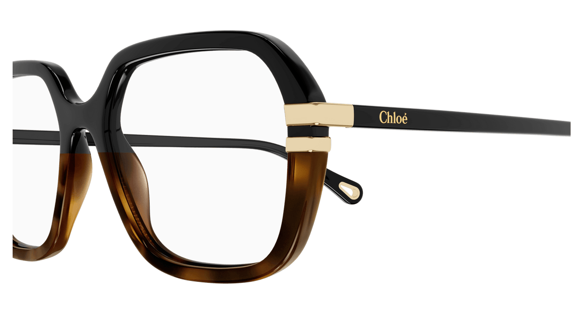 BLACK / TRANSPARENT