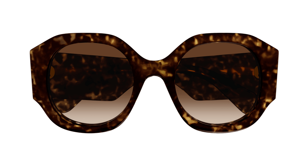 HAVANA / BROWN