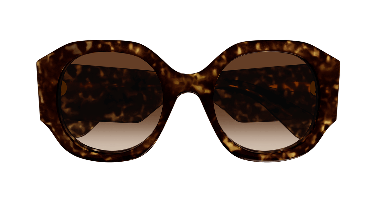 HAVANA / BROWN