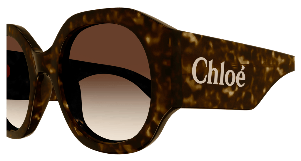 HAVANA / BROWN