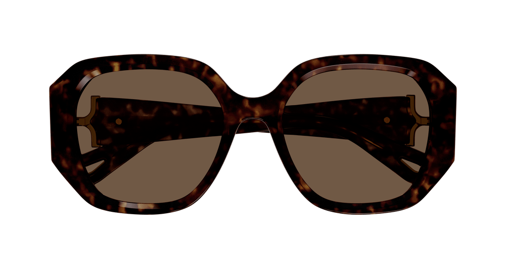 HAVANA / BROWN