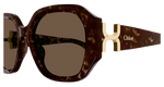 HAVANA / BROWN