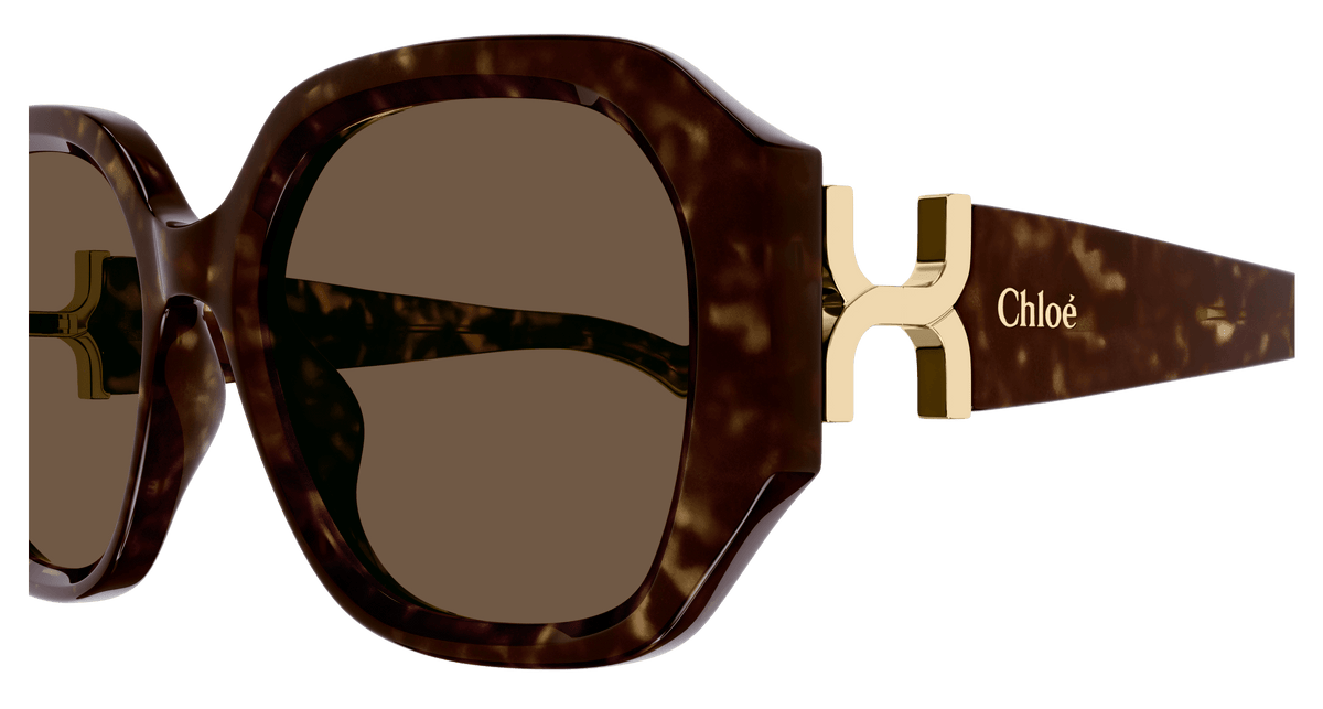 HAVANA / BROWN