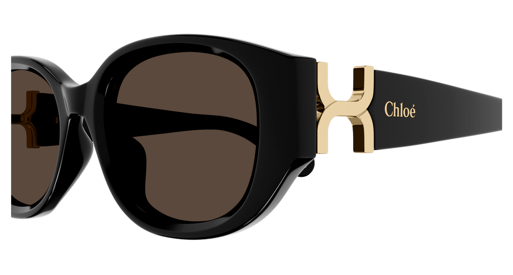 BLACK / BROWN