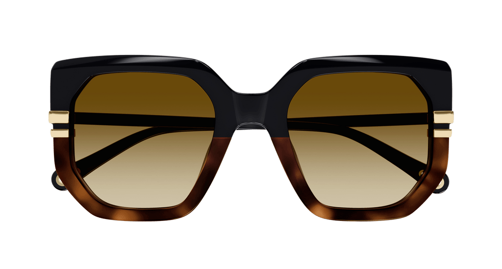 BLACK / BROWN