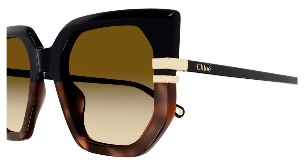 BLACK / BROWN