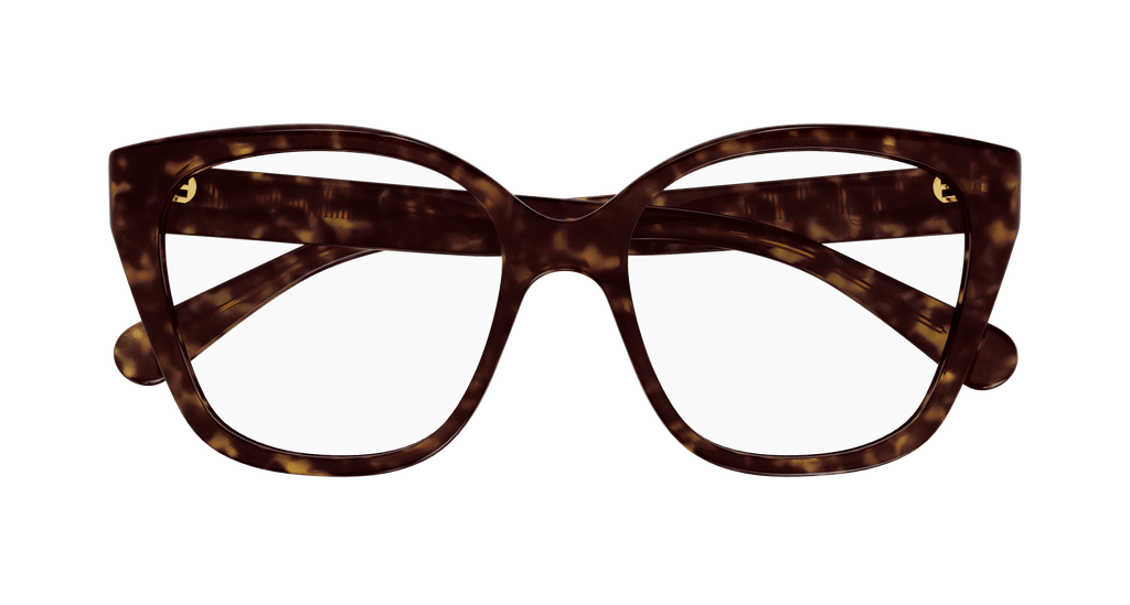 HAVANA / TRANSPARENT