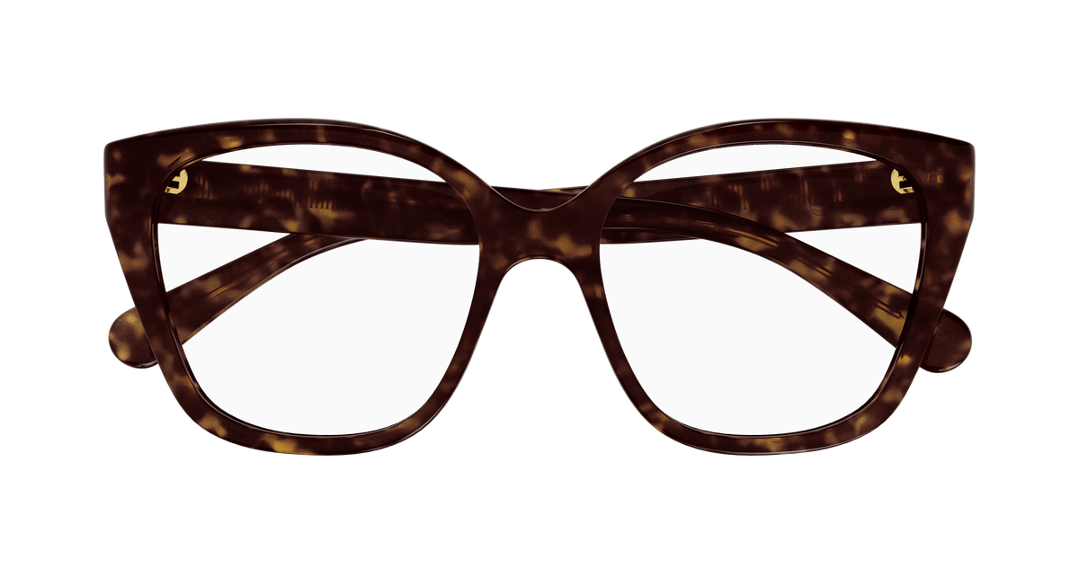HAVANA / TRANSPARENT