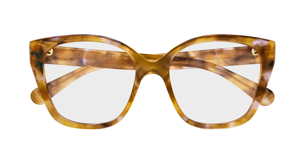 HAVANA / TRANSPARENT