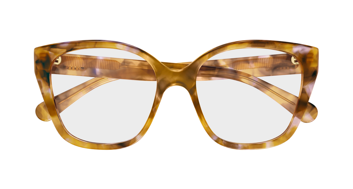HAVANA / TRANSPARENT