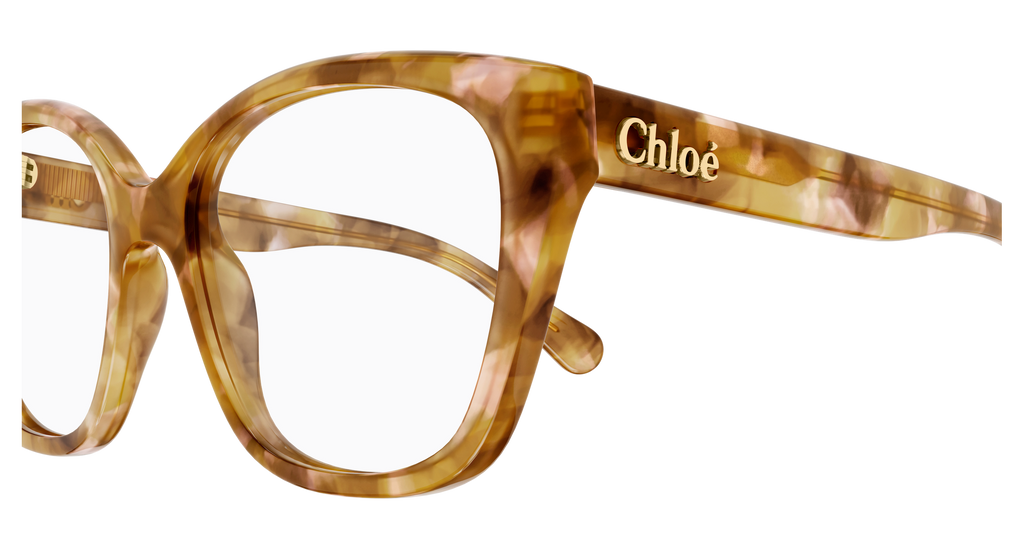 HAVANA / TRANSPARENT