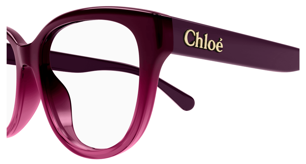 BURGUNDY / VIOLET / TRANSPARENT