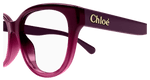 BURGUNDY / VIOLET / TRANSPARENT