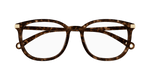 HAVANA / TRANSPARENT