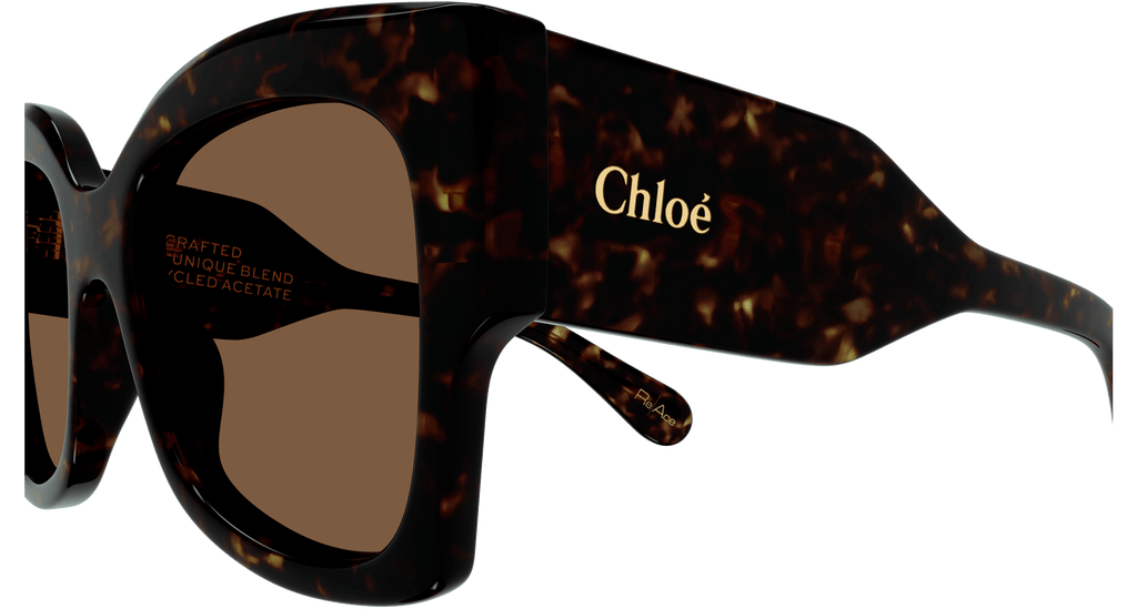 HAVANA / BROWN