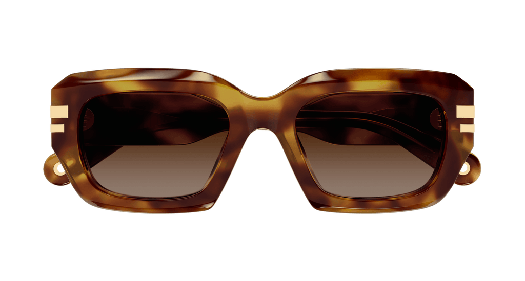 HAVANA / BROWN