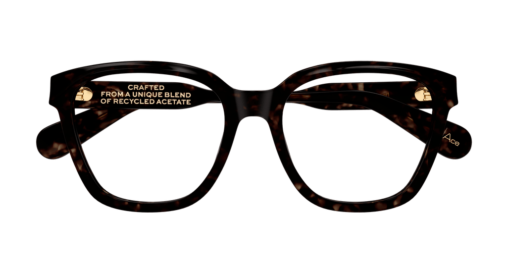 HAVANA / TRANSPARENT