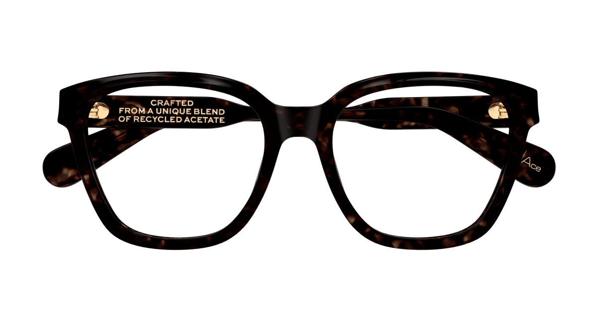 HAVANA / TRANSPARENT