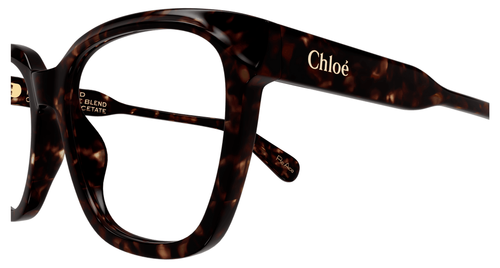 HAVANA / TRANSPARENT