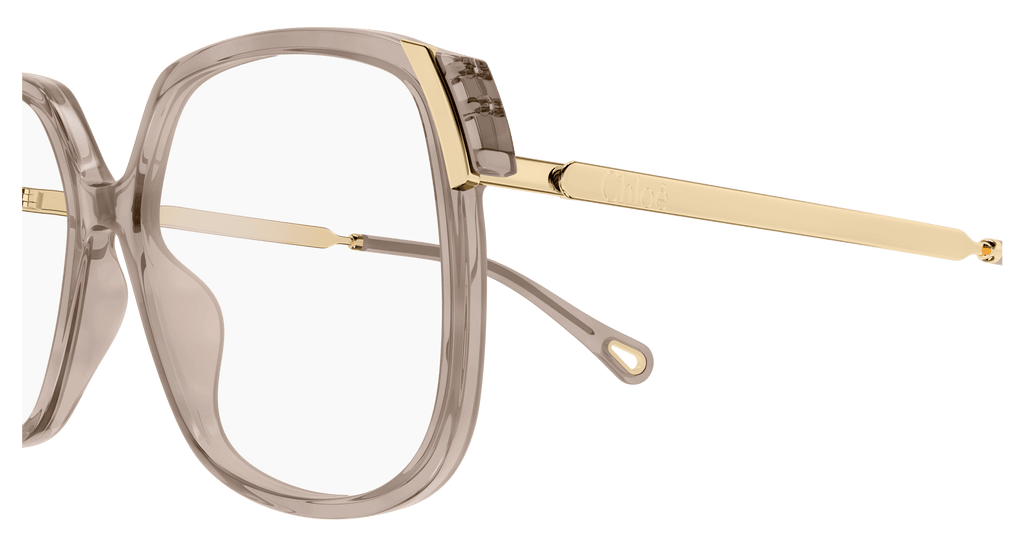 BROWN / GOLD / TRANSPARENT